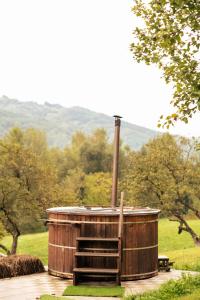 Phong cảnh thiên nhiên gần nhà khách