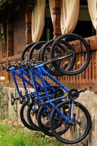 Đạp xe trong hoặc quanh River Song Inn