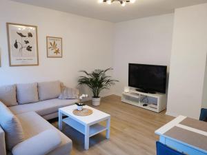 a living room with a couch and a tv at Gemütliche Ferienwohnung im Östlichen Ringgebiet - Ideal für Familien und Touristen, schnelles WLAN, 24h Check-in in Braunschweig