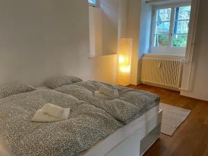 una camera da letto con un letto con due cuscini sopra di Spacious light-flooded apartment with garden at Lake Zurich a Männedorf