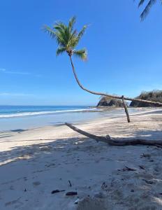 Φυσικό τοπίο κοντά σε αυτό το διαμέρισμα +48 φωτογραφίες