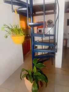 Foto dalla galleria di Ratto 467 a Concepción del Uruguay