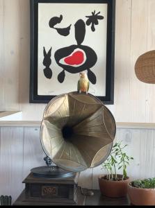 Billede fra billedgalleriet på Ventana Al Mar i Pichilemu