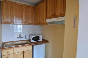 Kuchyň nebo kuchyňský kout v ubytování Family Hotel Prolet
