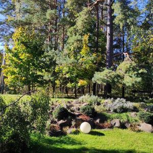 Eine weiße Frisbee liegt im Garten auf dem Rasen. in der Unterkunft Rami erdvė šalia miško ir ežero darbui ir poilsiui in Trakai