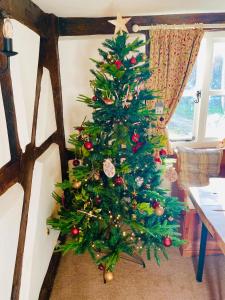 Φωτογραφία από το άλμπουμ του Log- burner, dog friendly- woodland views with walking trails and local pub on your doorstep! Popular walking trails nearby-Malvern Hills and the Brockhampton Estate- Peaceful village on the border of Hereford and Worcester στο Ουόρσεστερ