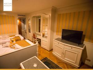a room with a bedroom with a bed and a television at Nile Cruise King Tut in Luxor