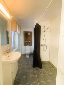 a bathroom with a sink and a shower and a toilet at Lillehammer Camping - Sentrums leilighet in Lillehammer +31 photos