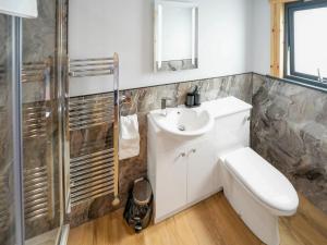 Un baño con lavabo, inodoro y ducha. en Primrose Lodge - Uk50874, en Hittisleigh 5 fotos más