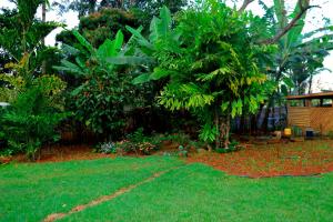 Photo de la galerie de l'établissement Nancy's Farm House, à Chuka