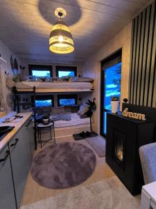 a living room with a bunk bed and a fireplace at Tiny House Prättigau GR in Grüsch +14 photos