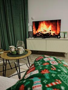 TV a/nebo společenská místnost v ubytování Apartman NIT Banja Koviljača + 25 fotografií