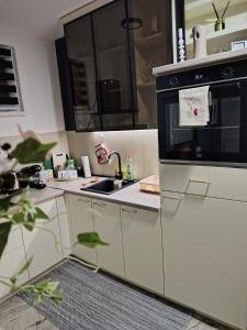 Kuchyň nebo kuchyňský kout v ubytování Apartman NIT Banja Koviljača