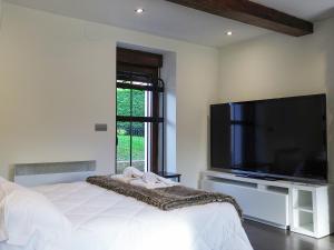 - une chambre avec une grande télévision à écran plat et un lit dans l'établissement Casa Obregón Cabárceno 3000, à Lusa