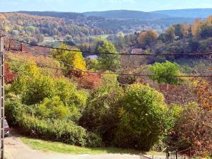 Φυσικό τοπίο κοντά σε αυτός ο ξενώνας +2 φωτογραφίες