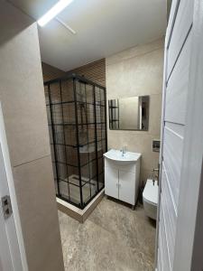 a bathroom with a sink and a toilet at Casa Cota in Craiova