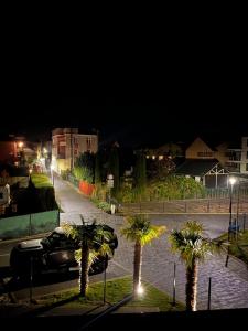 a parking lot with palm trees and a car at night at Pod Palmami in Hel