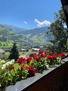 un montón de flores rojas sentadas en una cornisa en Hartl, Haus, en Rauris