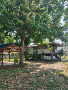 Κήπος έξω από το U-ary Home