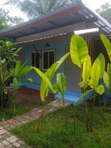 a house with green plants in front of it at Bang risskee home stay1 in Ko Yao Noi