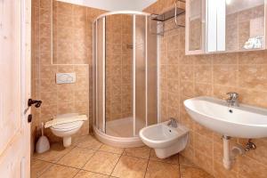 a bathroom with a shower and a sink and a toilet at Agriturismo Quinto Quarto in Sondalo