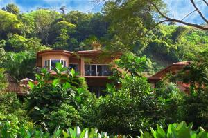 赫拉多拉Casa Oasis 5 bdrs private pool in Los Suenos的森林中的一所房子