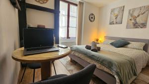 Μια τηλεόραση ή/και κέντρο ψυχαγωγίας στο Le Remède - Studio calme hyper-centre Orléans