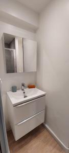 艾克斯莱班Studio Aix-les-Bains的一间白色浴室，配有洗手池和镜子。