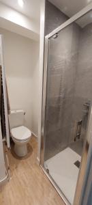 艾克斯莱班Studio Aix-les-Bains的浴室配有马桶和玻璃淋浴房