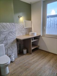 フェカンにあるLe petit cauchoisのトイレ、洗面台、窓のあるバスルーム