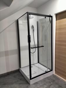 フェカンにあるLe petit cauchoisのドアの隣の部屋のガラス張りのシャワー