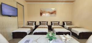 Guest house near Registan في سمرقند: غرفة بأربعة أسرة و شاشة عرض