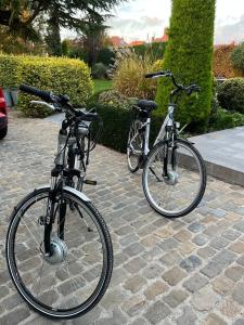 Ποδηλασία στο bbCedrus ή στη γύρω περιοχή