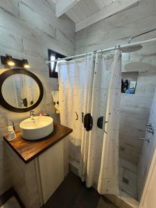 un bagno con lavandino e doccia con specchio di Casa 109 a Necochea