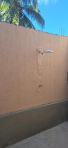 Φωτογραφία από το άλμπουμ του Casa PE 060 σε Sao Jose da Coroa Grande +3 φωτογραφίες