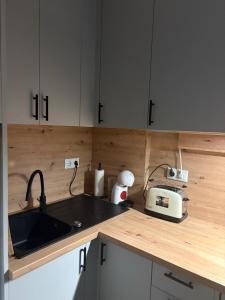 Η κουζίνα ή μικρή κουζίνα στο MIRAMAR V +18 φωτογραφίες