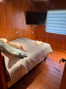 Televiisor ja/või meelelahutuskeskus majutusasutuses Hostal refugio Licarayen +3 fotot