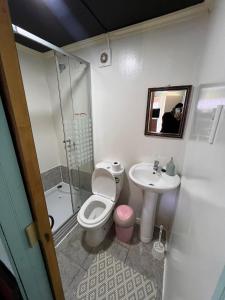 Vannituba majutusasutuses Hostal refugio Licarayen