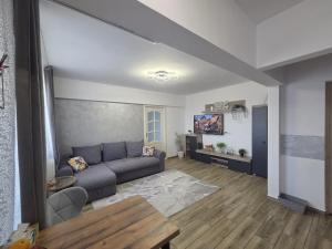 a living room with a couch and a tv at NGR Residence in Ploieşti