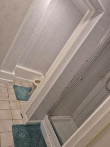 Koupelna v ubytování A bedroom flat in a house