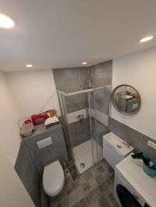 un bagno con doccia, WC e lavandino di Gemütliche 2 Zimmer Wohnung a Göppingen
