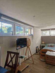 Un dormitorio con una cama y un televisor. en Jeanmyr, en Sainte-Marie-aux-Mines