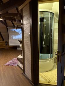 a room with a shower and a sliding glass door at Lavender House in Slavske +138 photos
