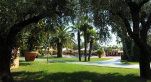 ヴィッラピアーナにあるLa Ginestraの椰子の木と遊歩道のある公園