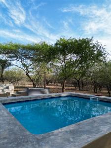 Bazén v ubytování Dung Beetle Bush Villa nebo v jeho okolí + 15 fotografií