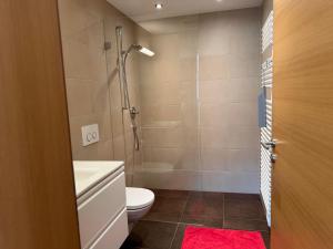 łazienka z prysznicem, toaletą i umywalką w obiekcie Ferienwohnung Eichenspaziert w mieście Hart im Zillertal