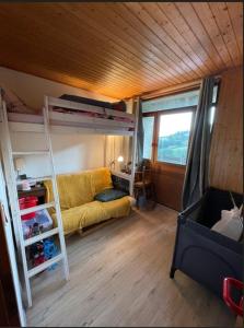 Χώρος καθιστικού στο Charming Apartment au pied des pistes