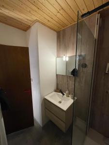 Ένα μπάνιο στο Charming Apartment au pied des pistes