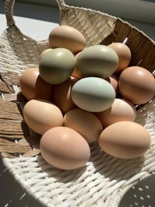 Gallery image of Alojamiento y Desayuno Privado de Lujo C1B in Bucalemu +24 photos