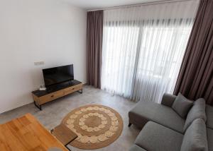 KharchaにあるAzra Suite By HolidayKeysのソファとテレビのあるリビングルーム